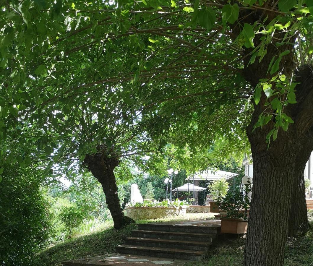 Maison Tuscany Bed&Breakfast Sinalunga Esterno foto