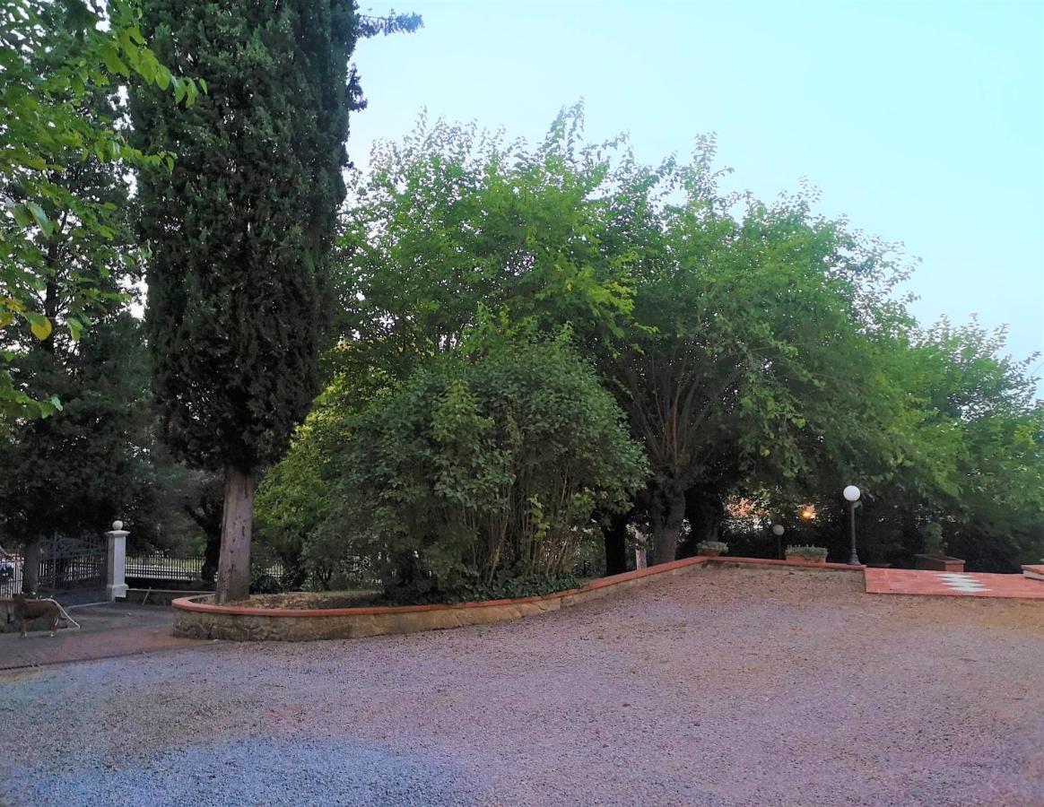 Maison Tuscany Bed&Breakfast Sinalunga Esterno foto