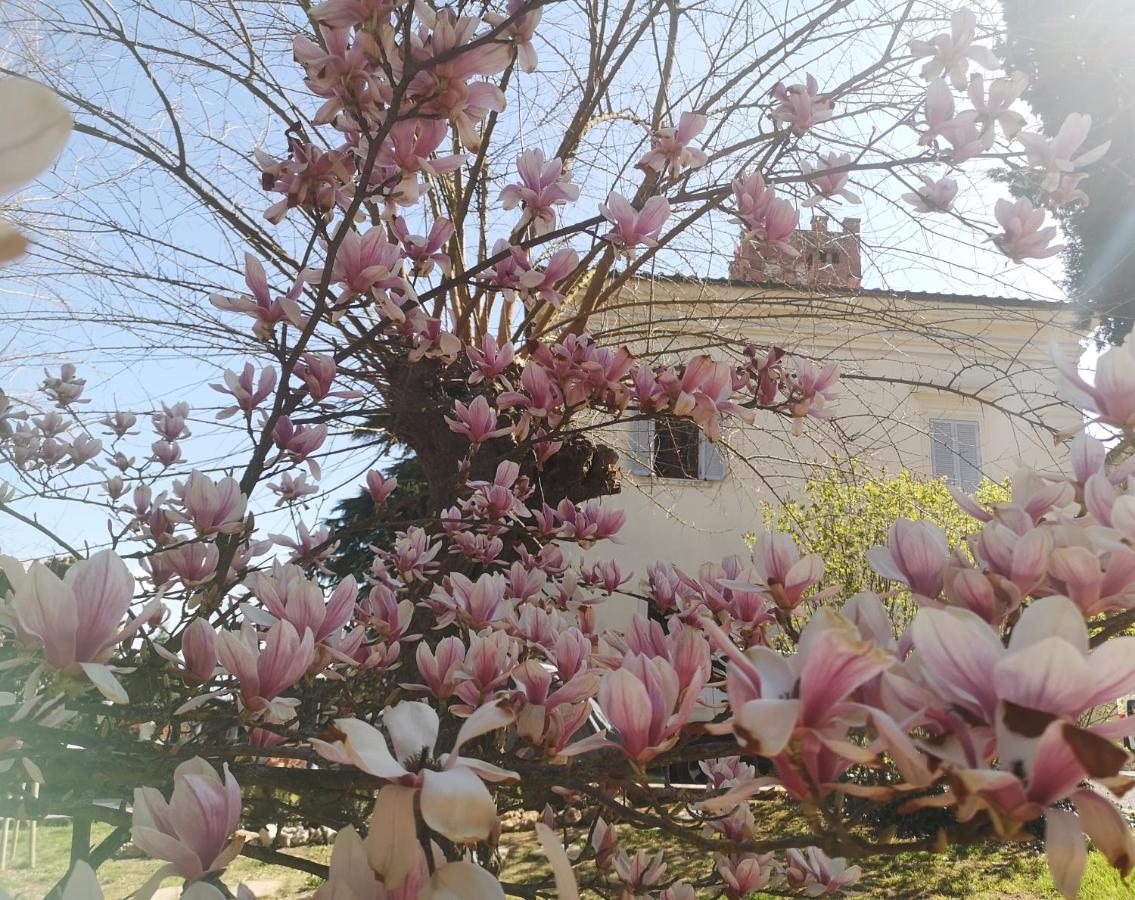 Maison Tuscany Bed&Breakfast Sinalunga Esterno foto